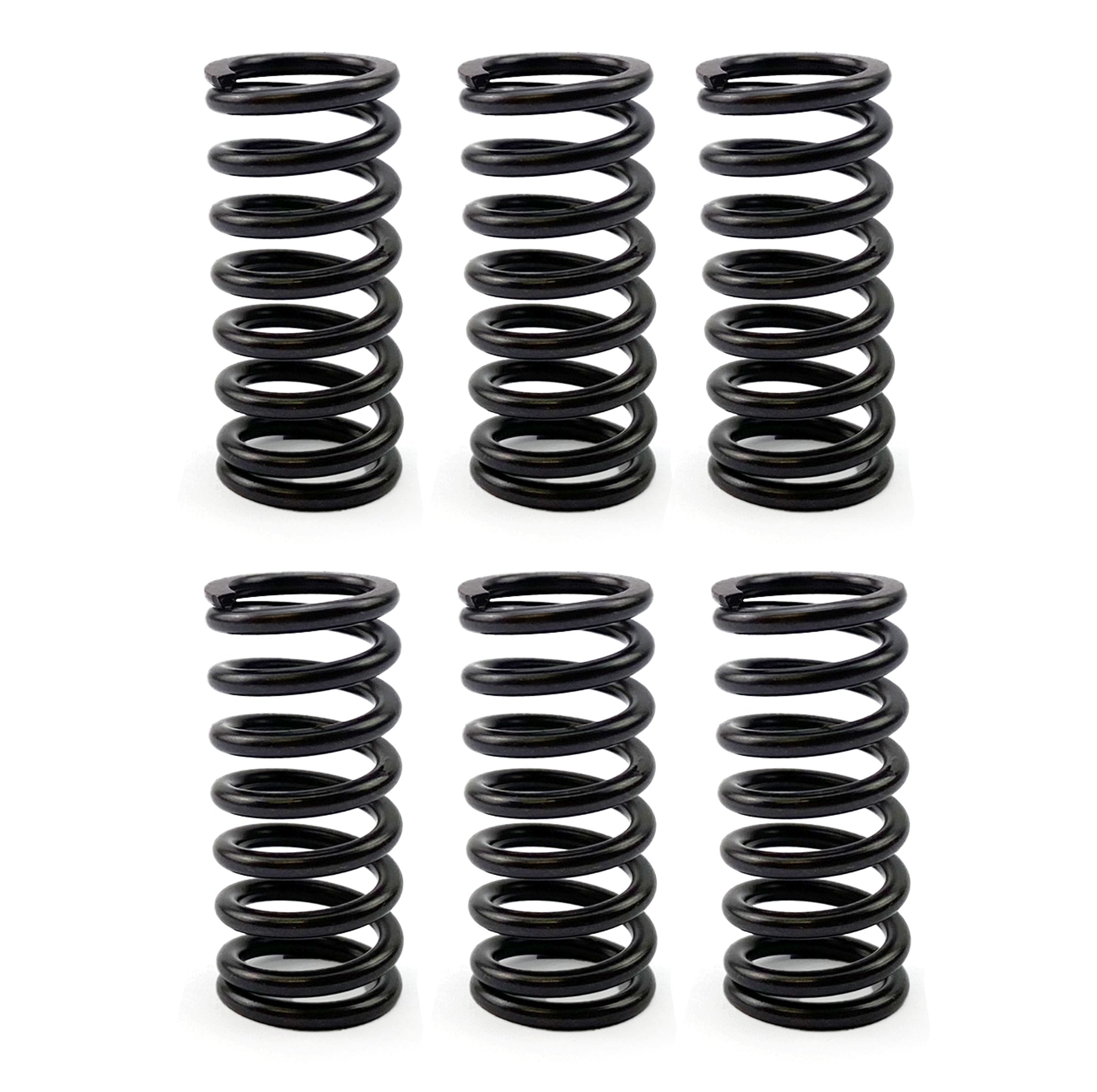 FIR Clutch Spring Hd Set/6 [CSK80]