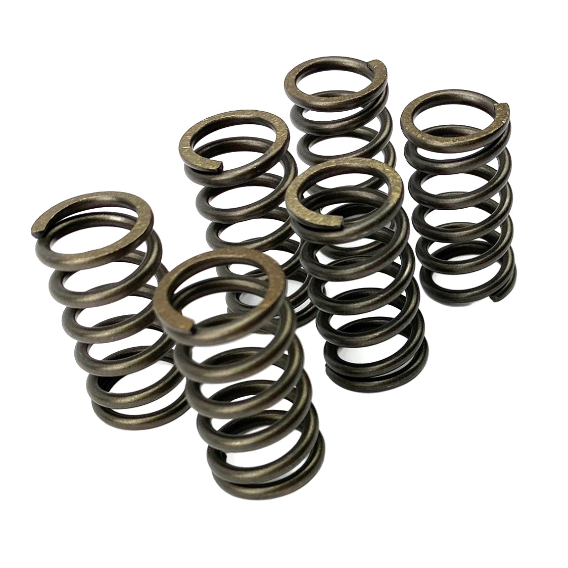 EBC CLUTCH SPRING SET CSK010