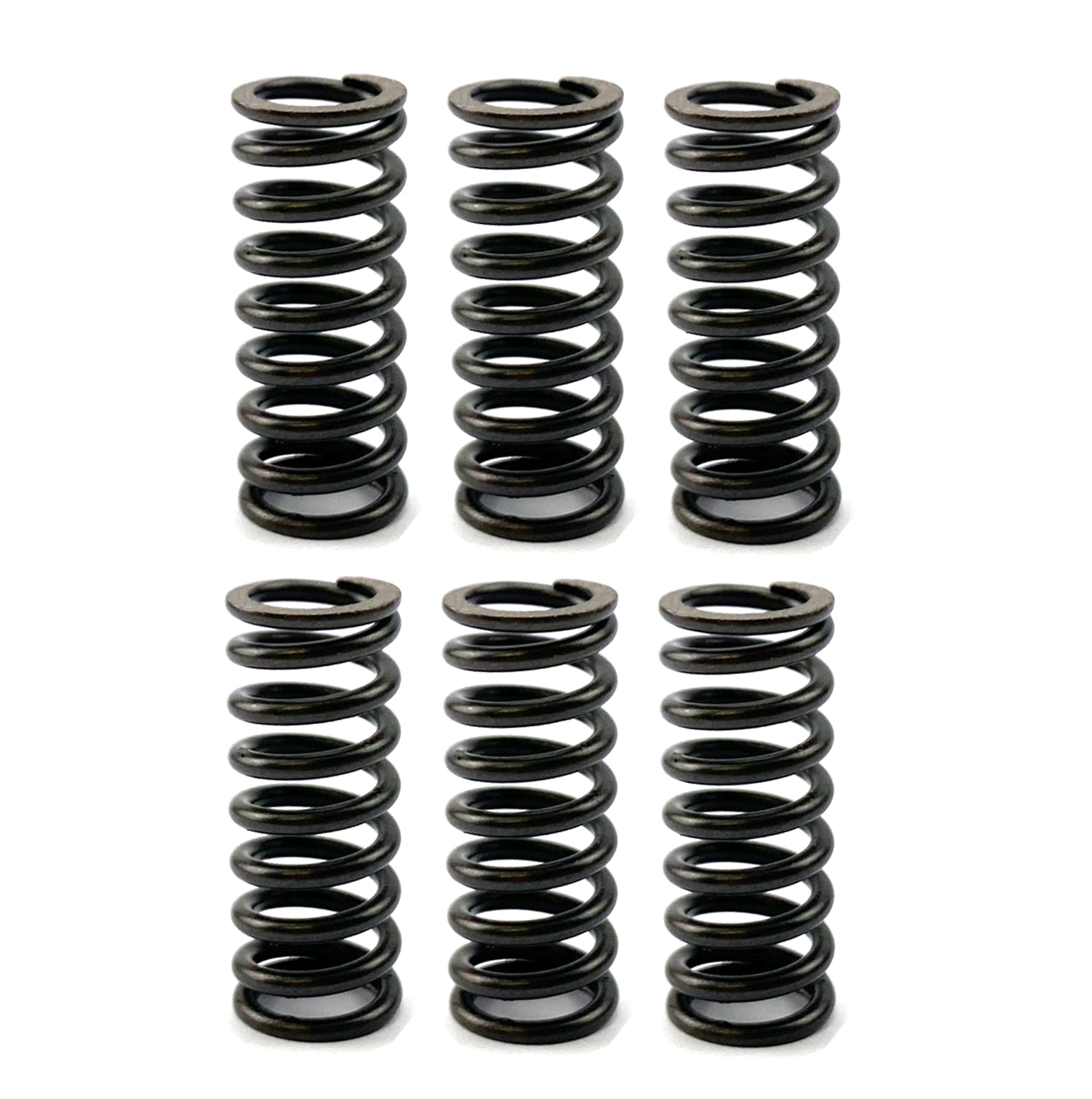 FIR Clutch Spring Hd Set/6 [CSK14], Yamaha YFM660R Raptor 2001-2005