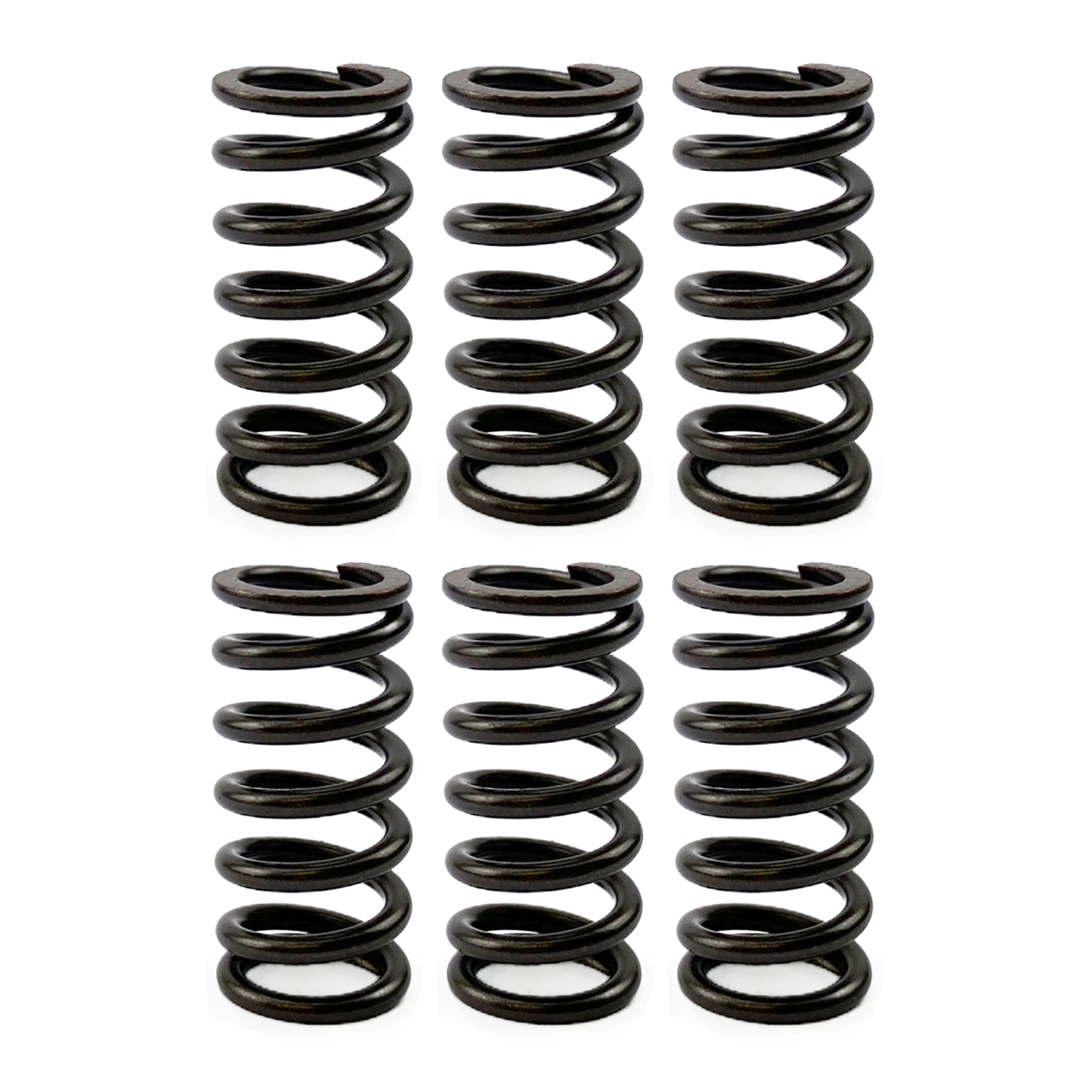 FIR Clutch Spring Hd Set/6 [CSK02] Csk2
