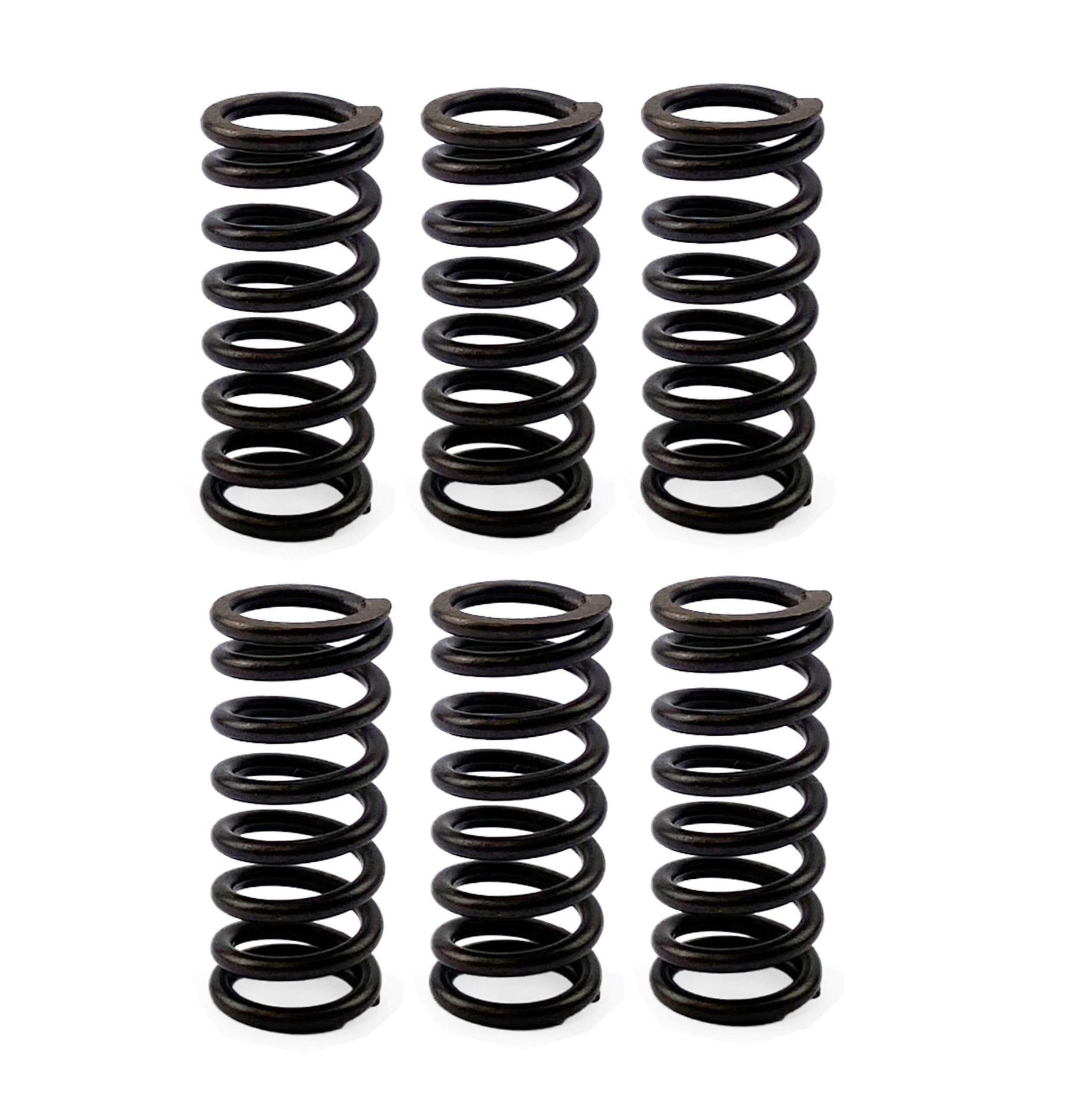 FIR Clutch Spring Hd Set/6 [CSK42], At-03384a