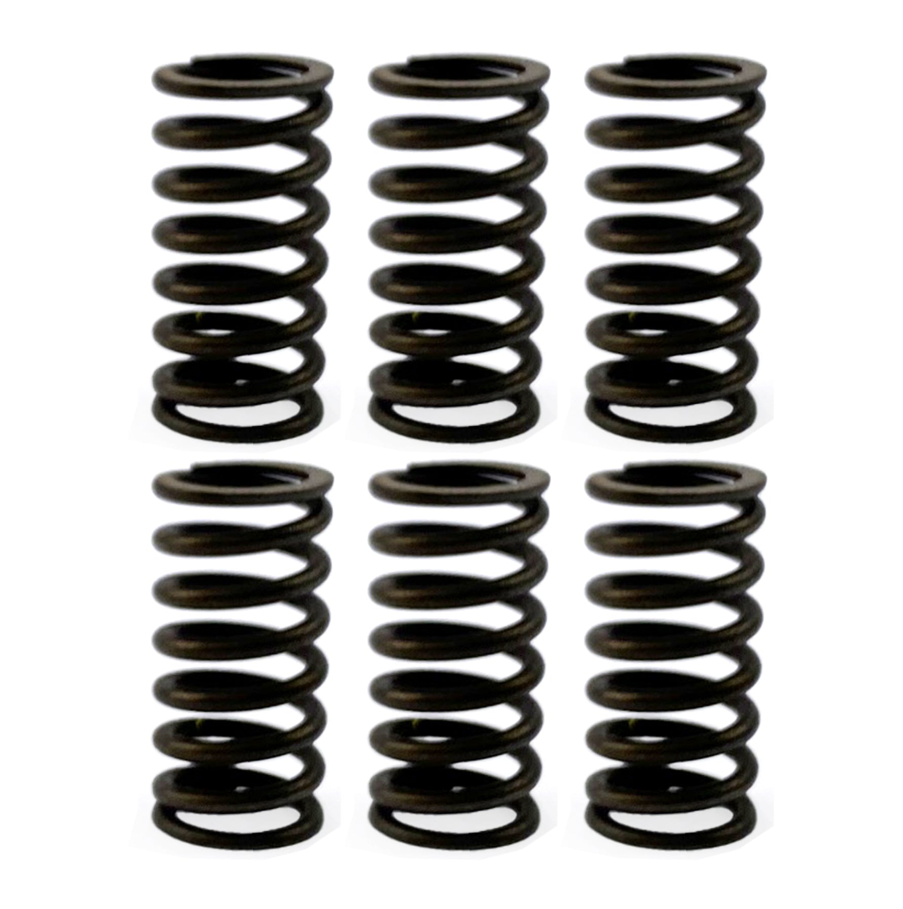 FIR Clutch Spring Hd Set/6 [CSK77]