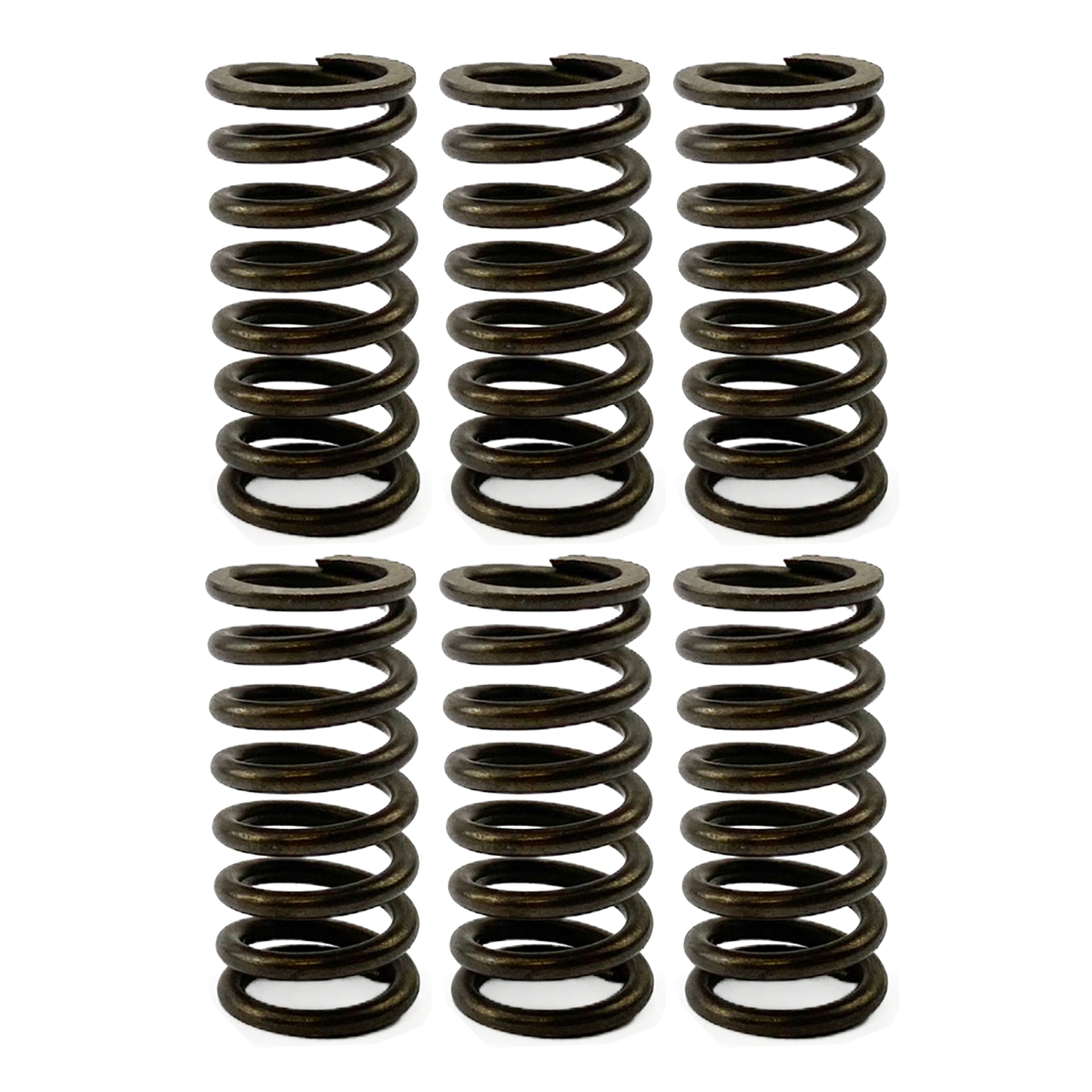 FIR Clutch Spring Hd Set/6 [CSK91]
