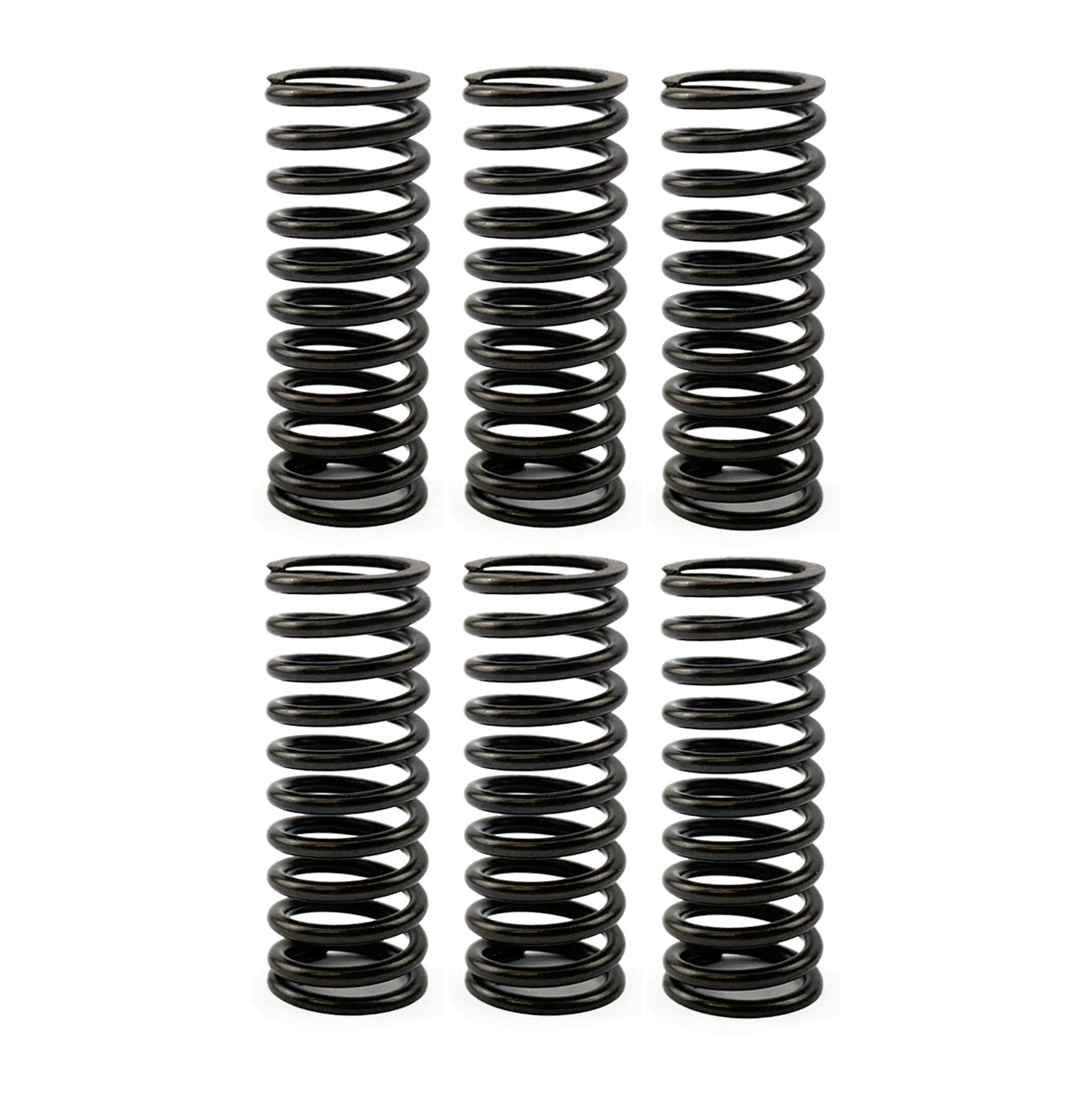 FIR Clutch Spring Set of 6 Kawasaki KX 125 250 F Suzuki RM 250 Z CSK97 92145-0351 09440-18029