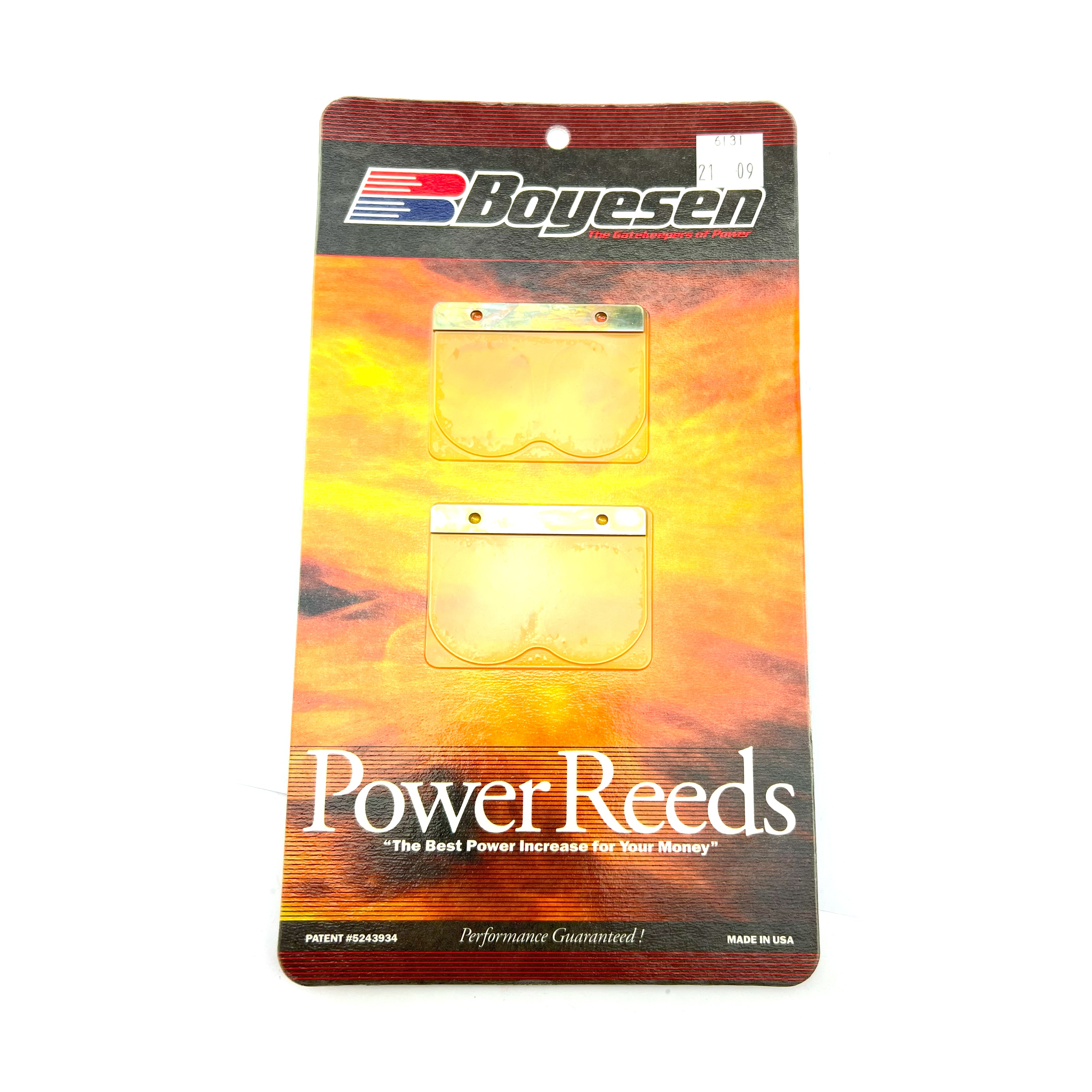 BOYESEN BOYESEN REEDS 6131 YZ250 05-21