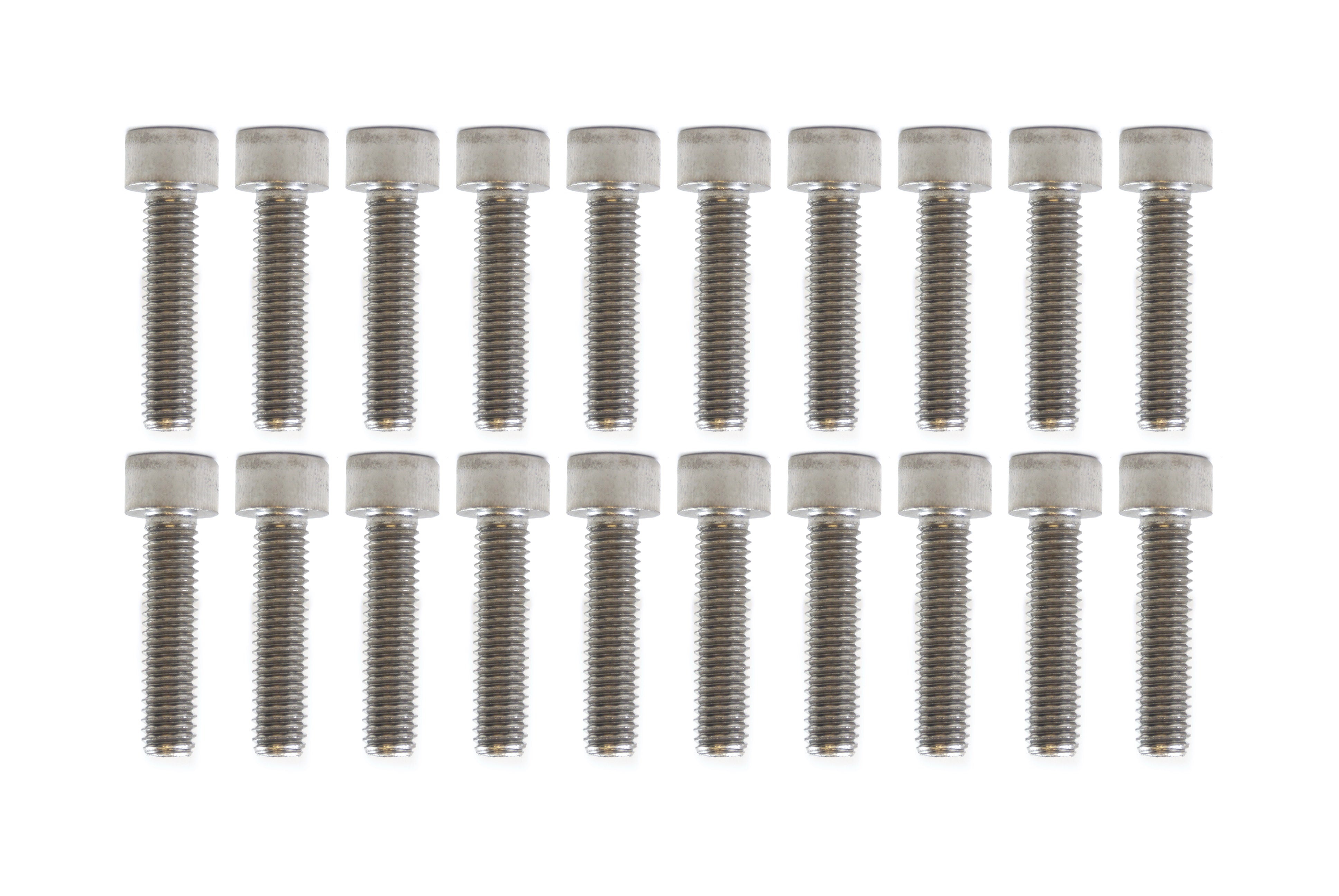 Tag-z Pk/20 M6x25 Ss Allen Cap, Stainless Steel Screw