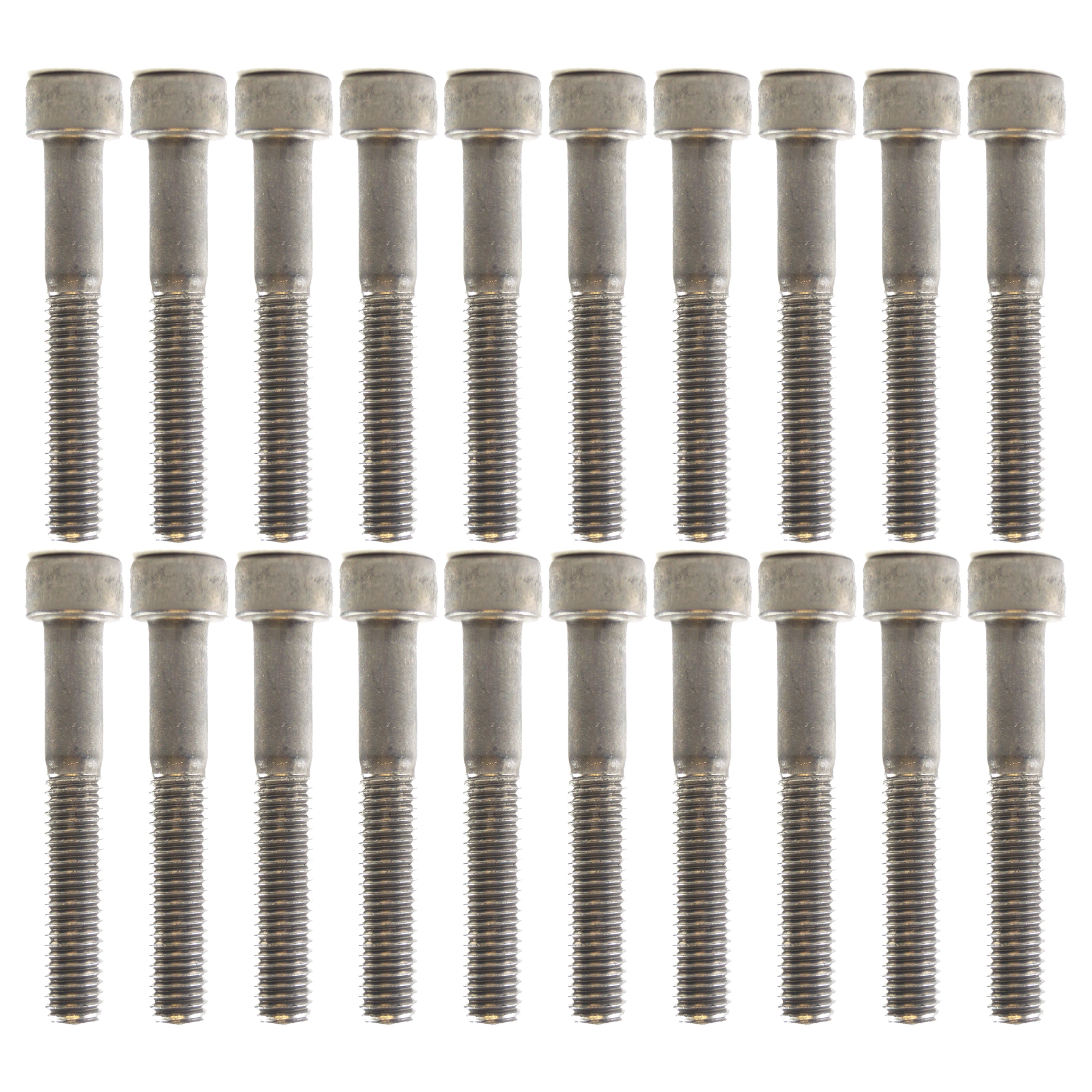 Tag-z Pk/20 M6x50 Ss Allen Cap, Stainless Steel Screw