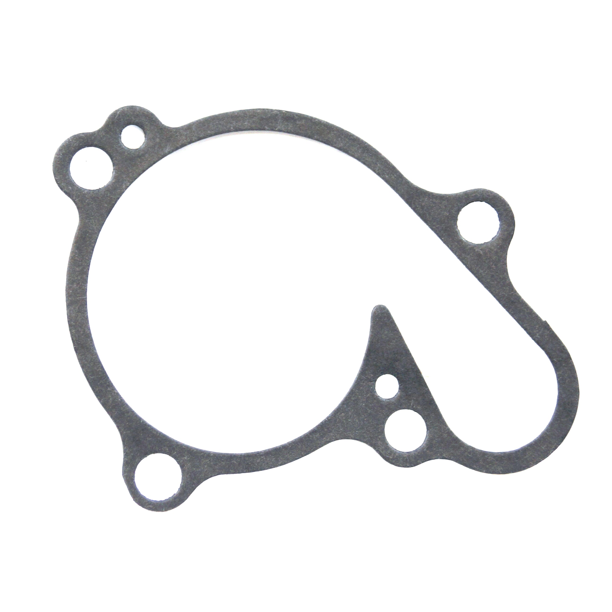 PSYCHIC WATER PUMP COVER GASKET