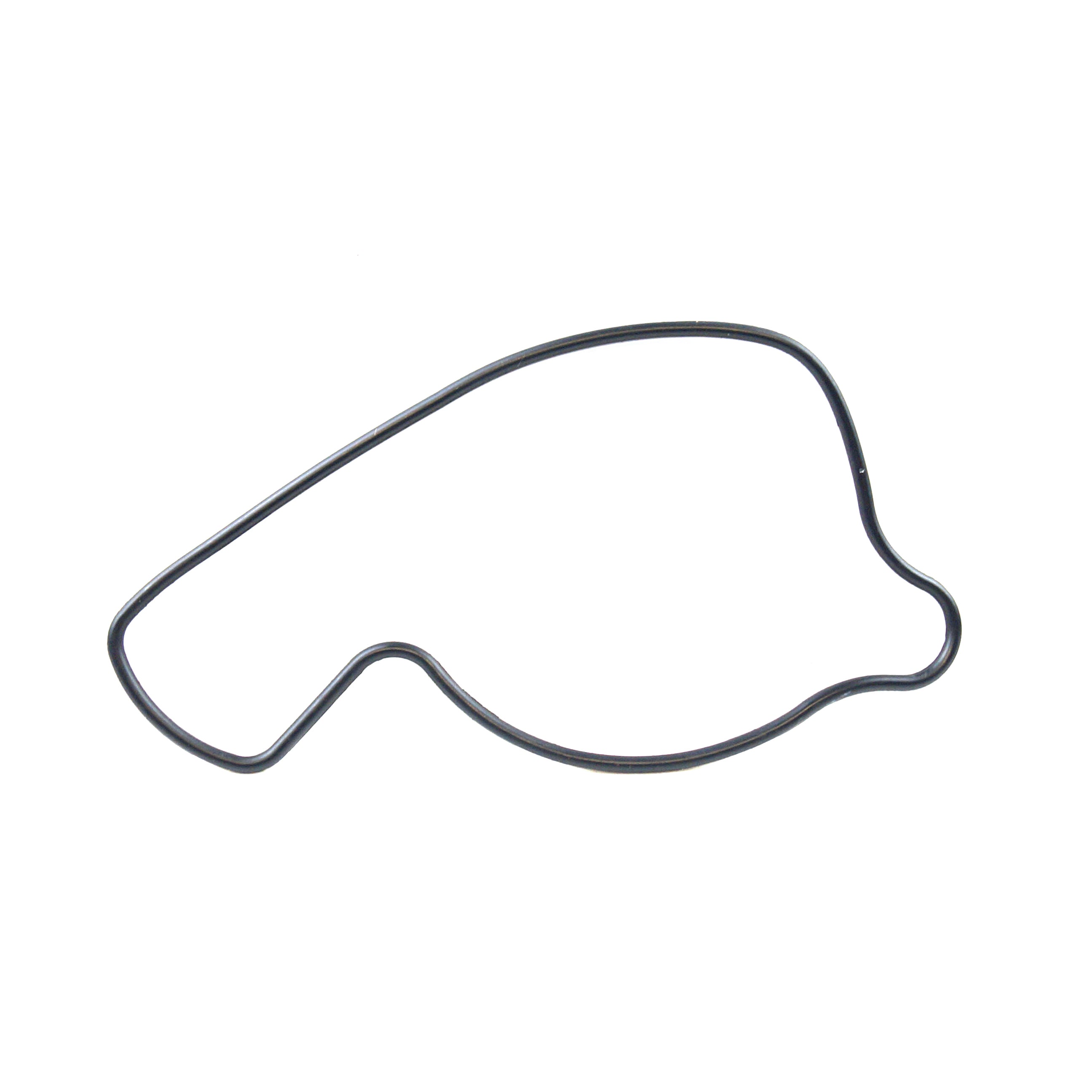 PSYCHIC WATER PUMP COVER GASKET