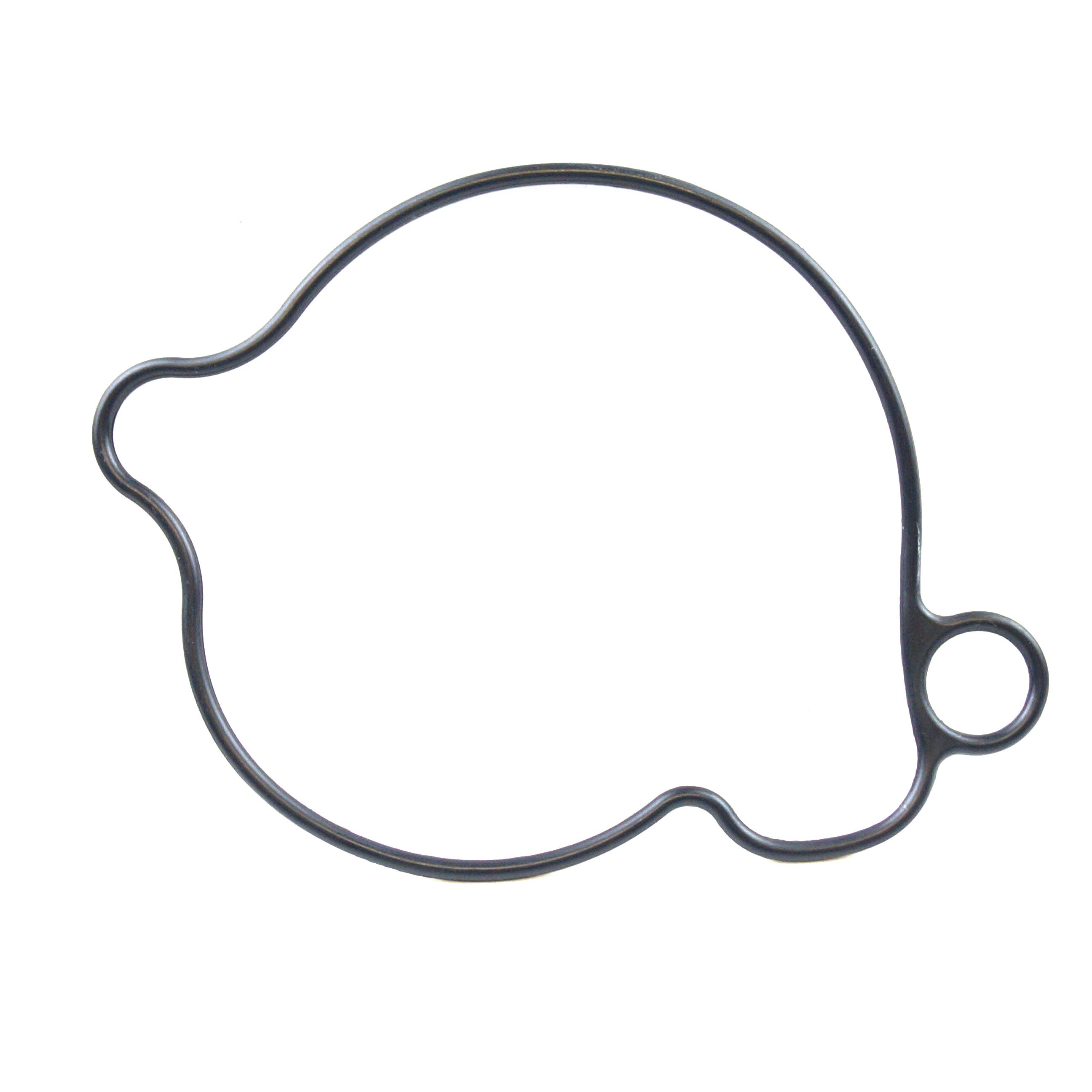 PSYCHIC WATER PUMP COVER GASKET