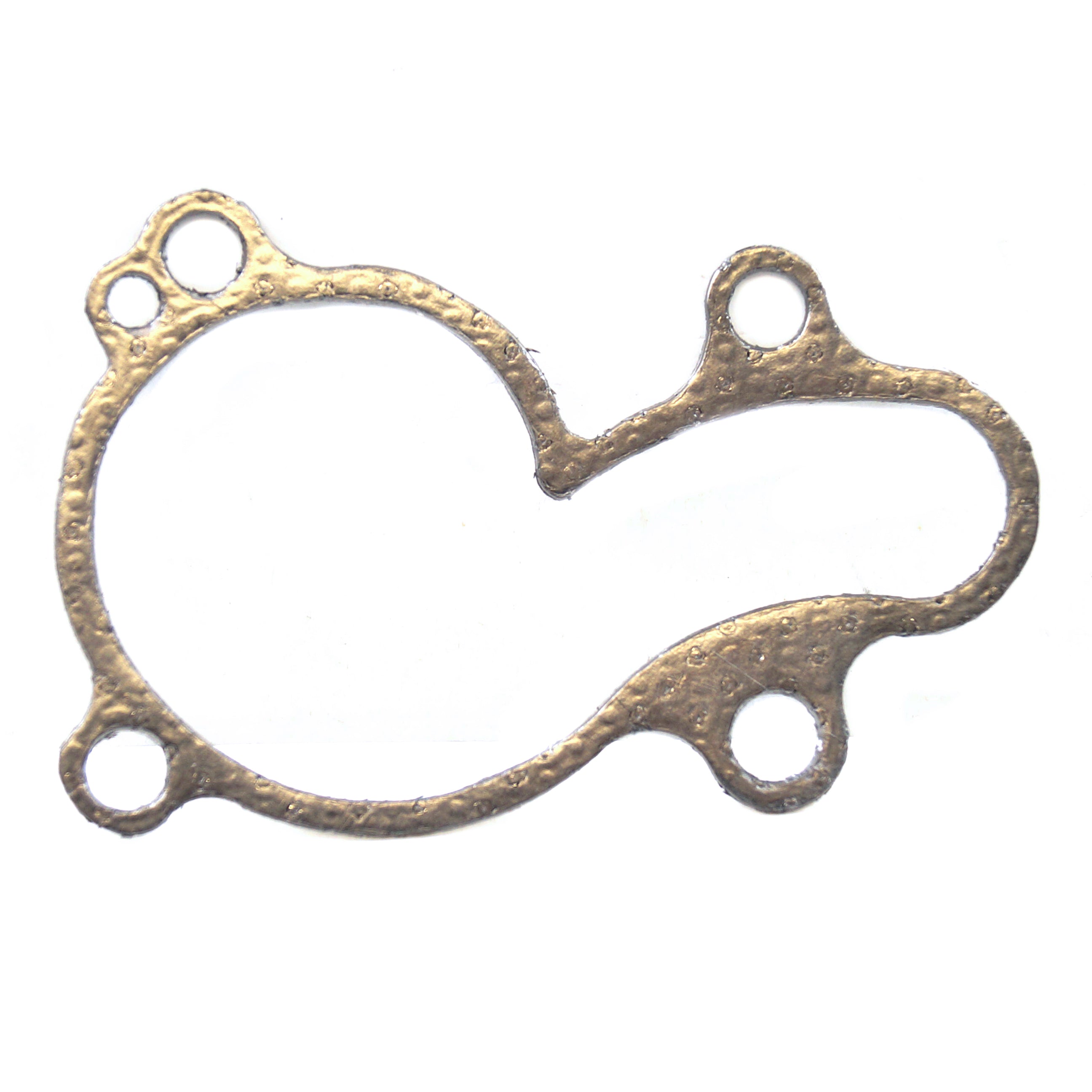 PSYCHIC WATER PUMP COVER GASKET