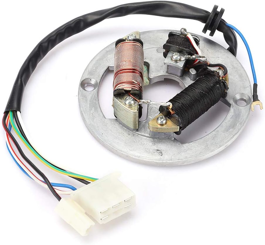 Dirt Racing Stator Coil Yamaha PW80 2-coil Ignition Coil with Plate Not 2003 Model