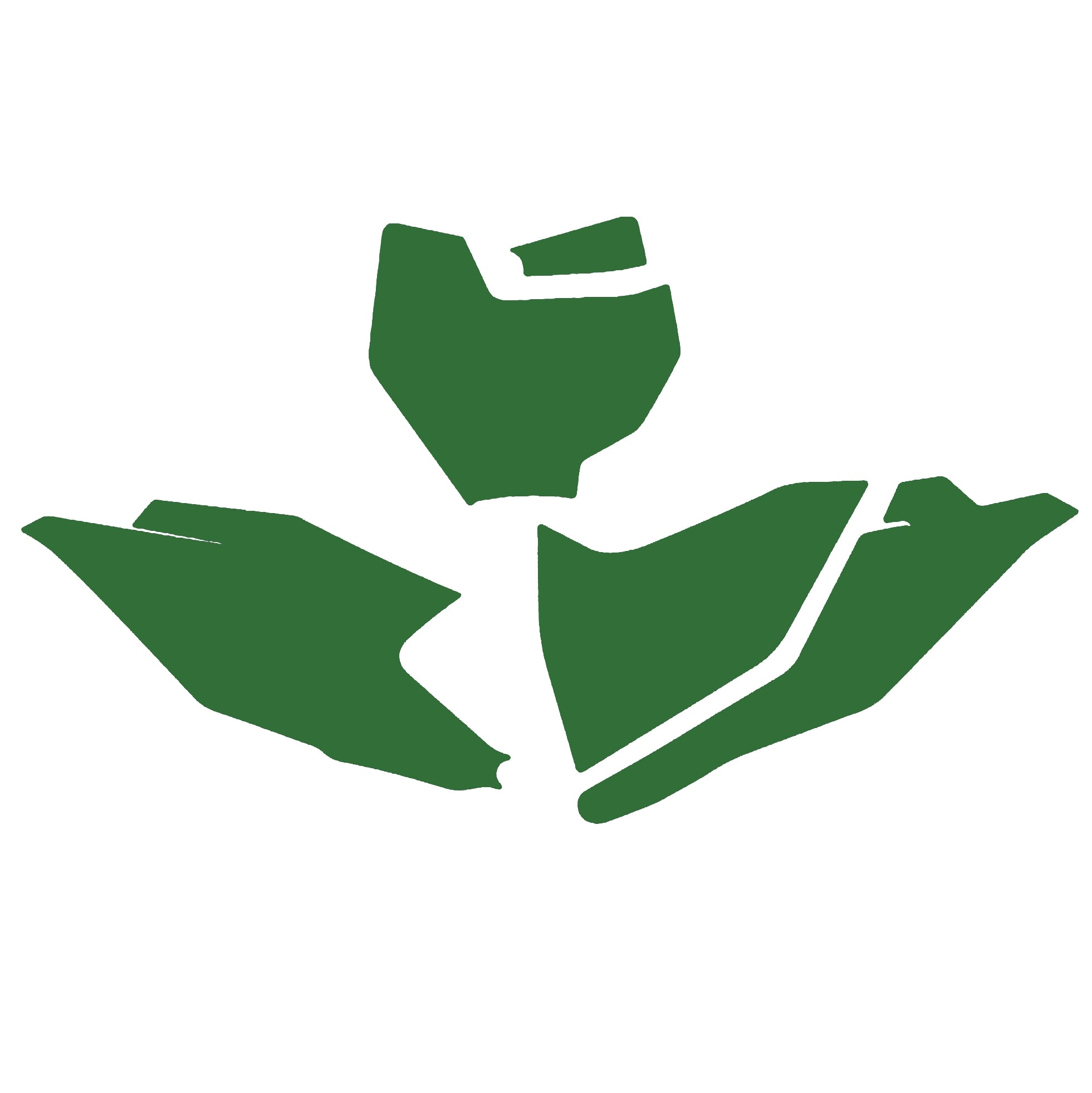 Blackbird Graphics Ktx SX 85 2025 Green Backgrounds, Blackbird 3534/30