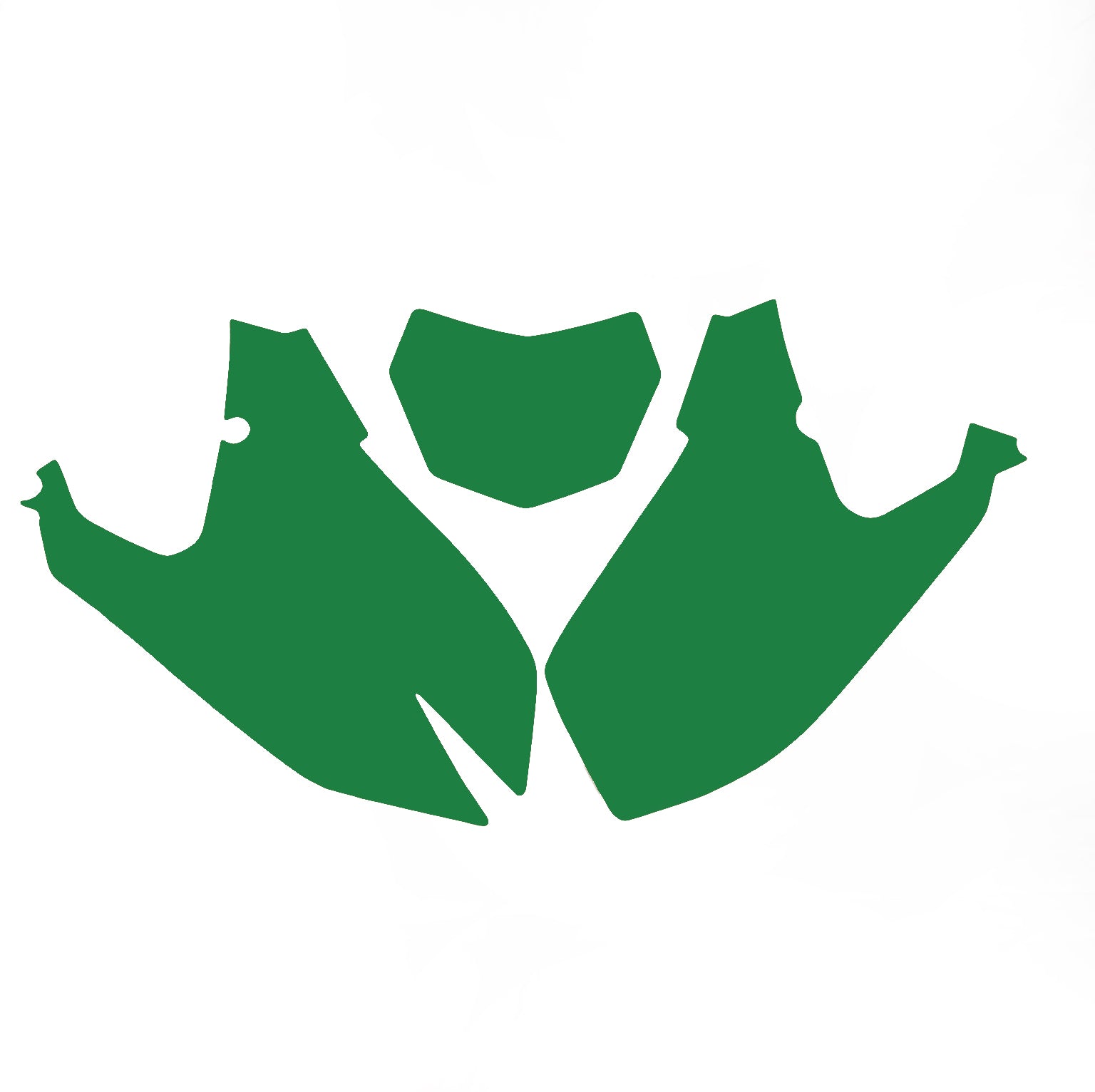 Blackbird Graphics Fantic Xxf 450 2024-2025 Pre Cut Backgrounds, Blackbird 3f05/30 Green Number Boards