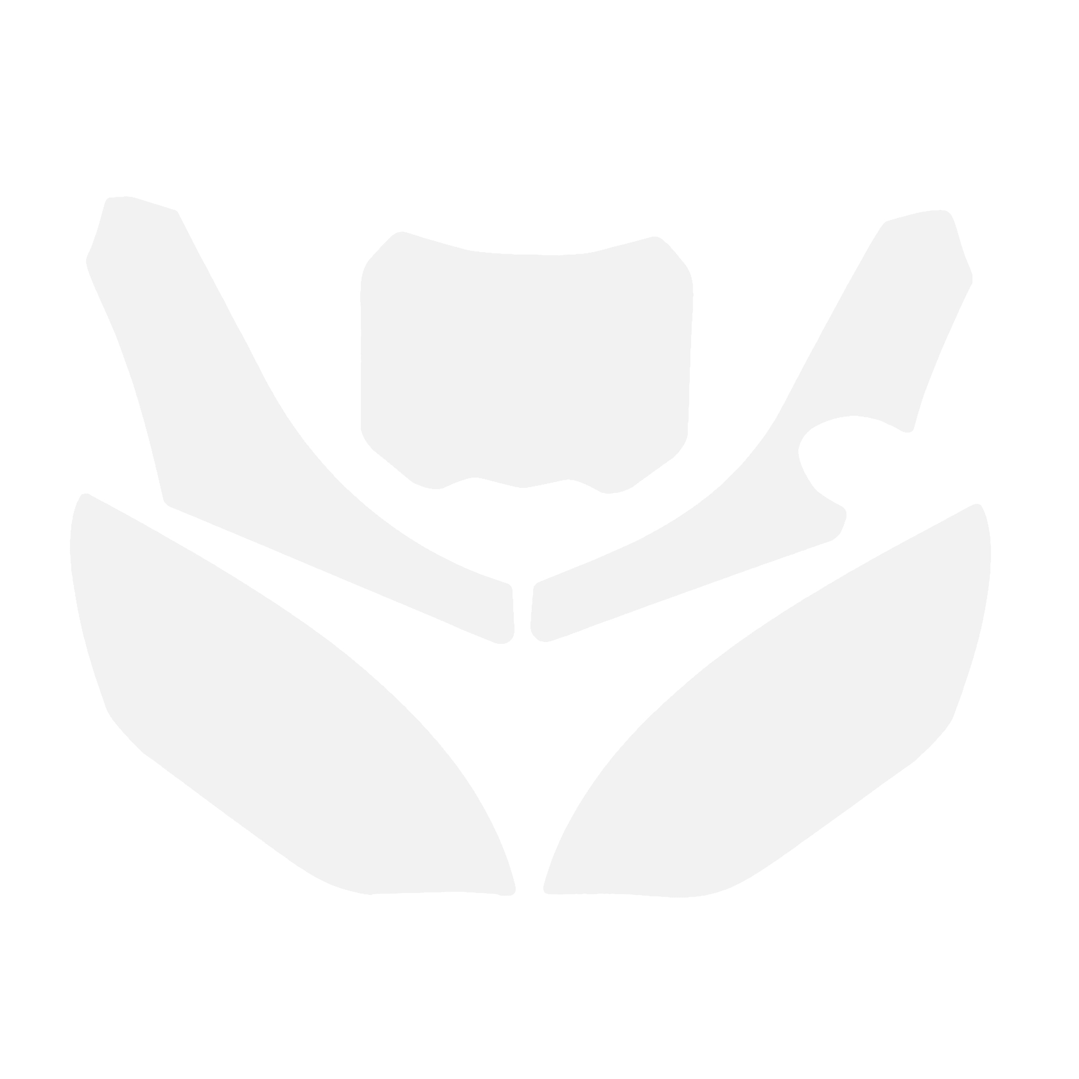 Blackbird Graphics Tm MX 4-stroke 250-300 2022-25 Pre Cut Backgrounds, Blackbird 3822/10 White Number Boards