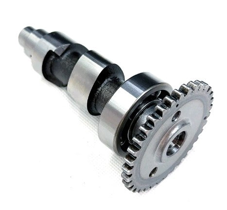 Dirt Racing Camshaft 2000-2006 Honda Rancher TRX350TM TE Fm 14100-hn5-m00 14100-hn5-670