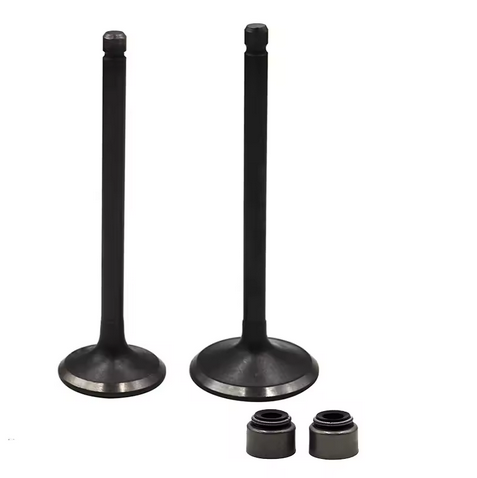 Dirt Racing Valve Set Exhaust & Intake Yamaha XT250 YFB250 Yfm 250 Raptor 5xt-12121-00-00 5h0-12111-02-00