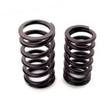 Namura Technologies Exhaust Intak Valve Spring Honda CRF 250 F 19-24 Namura Xu-09567s 14751-k31-900, 14761-k31-900