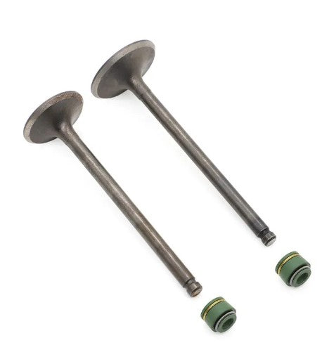 Dirt Racing Valve Set Intake Exhaust & Valve Seals Suzuki Gn Gz Gs DR125 12911-04b00 12912-24400