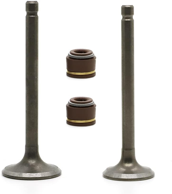 Dirt Racing Intake Exhaust Valves and Valve Seal Yamaha YFM80R Raptor 22k-12111-03-00