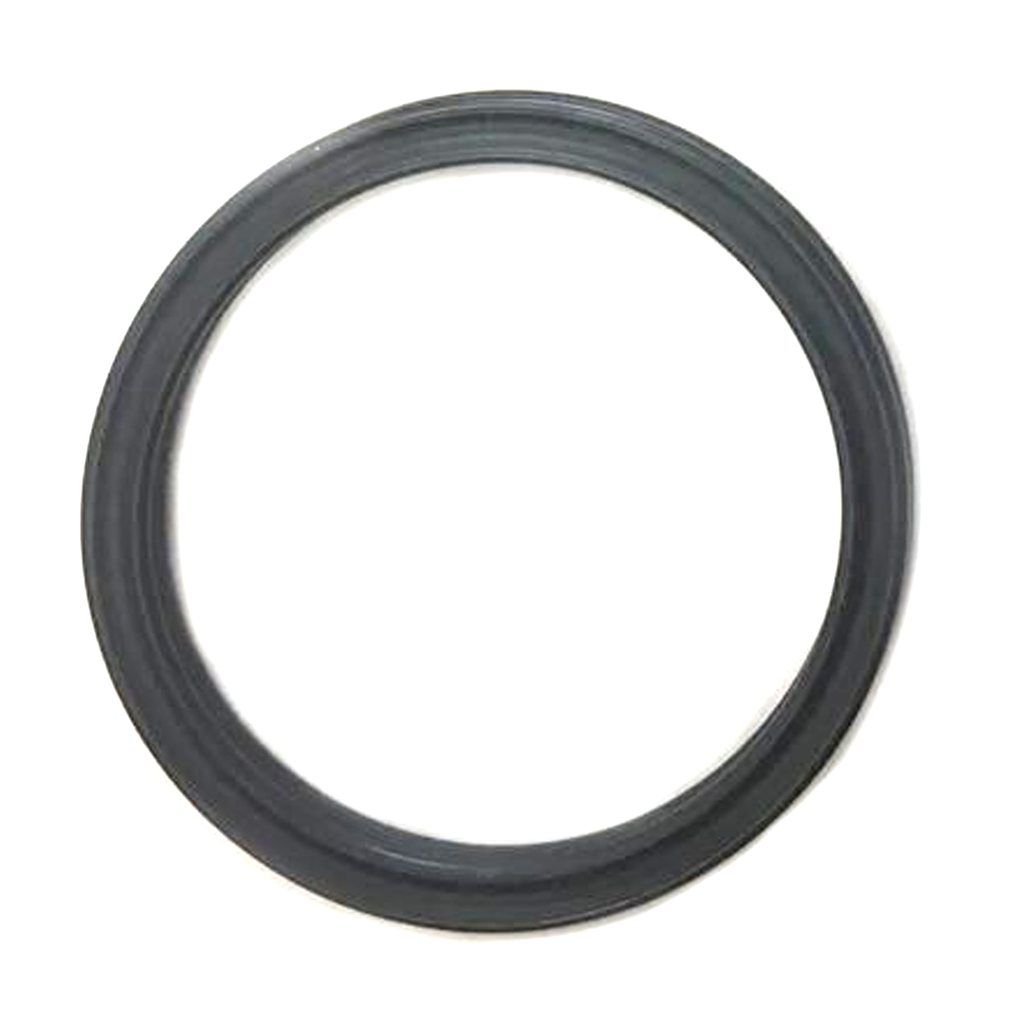 IMS Products Ims Dry Break Poppet Seal, 218387