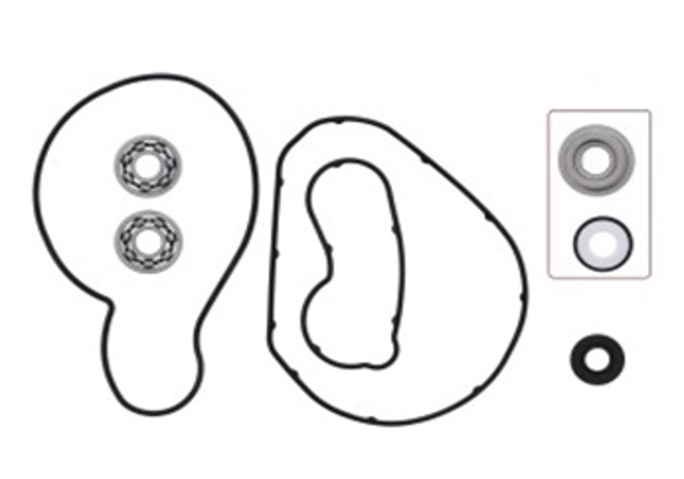 Psychic Water Pump Repair Kit with Bearings 721317