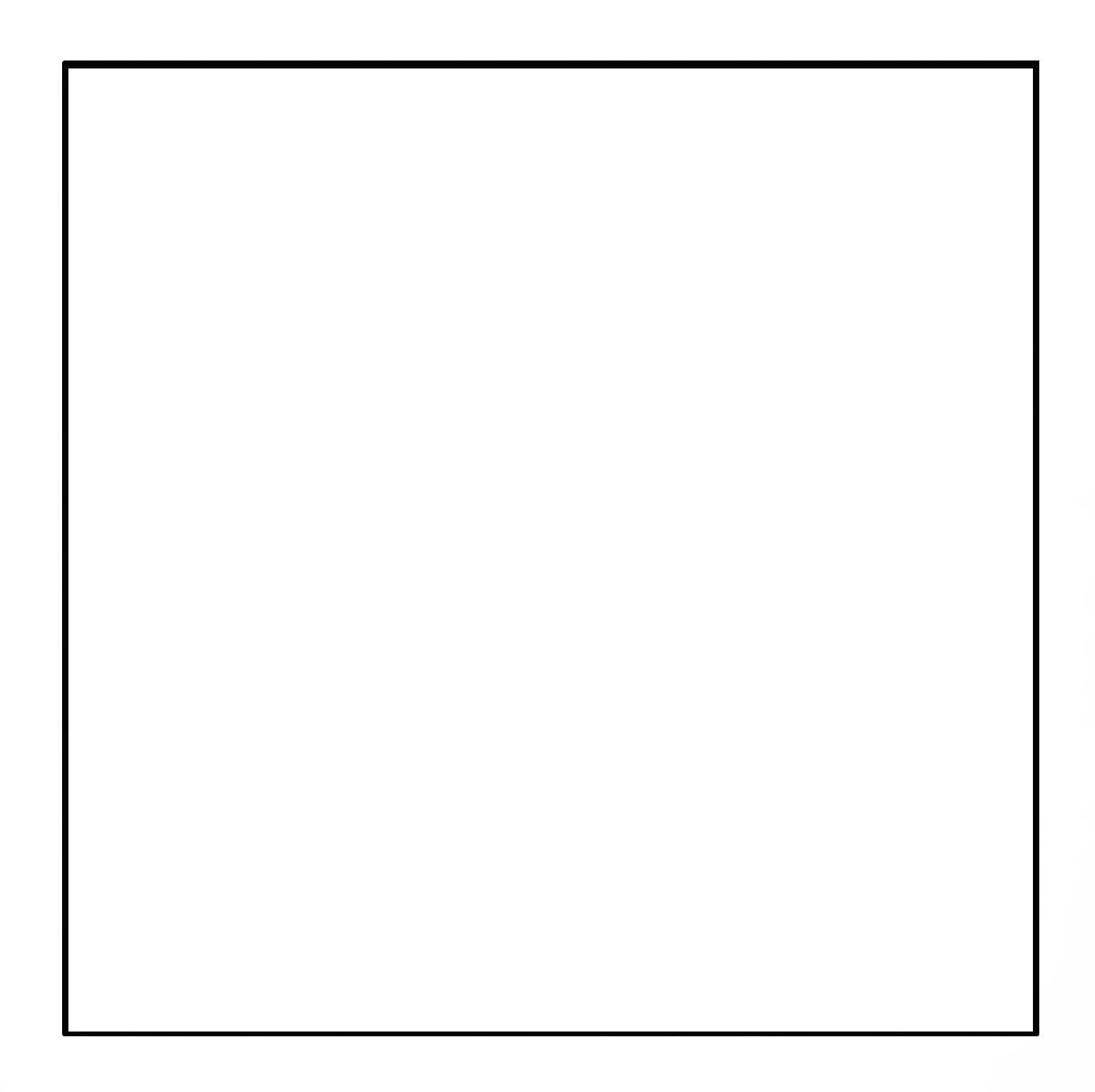 FIR Background Square White