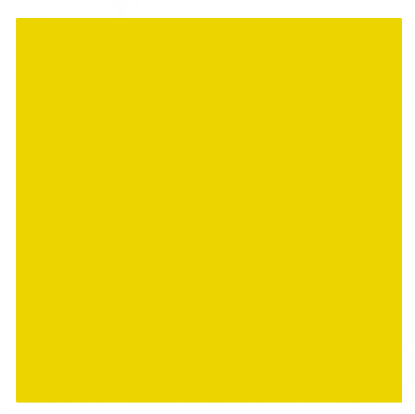 FIR Background Square Yellow