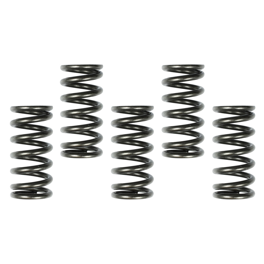SURFLEX CLUTCH SPRING SET HONDA XR400 96-04