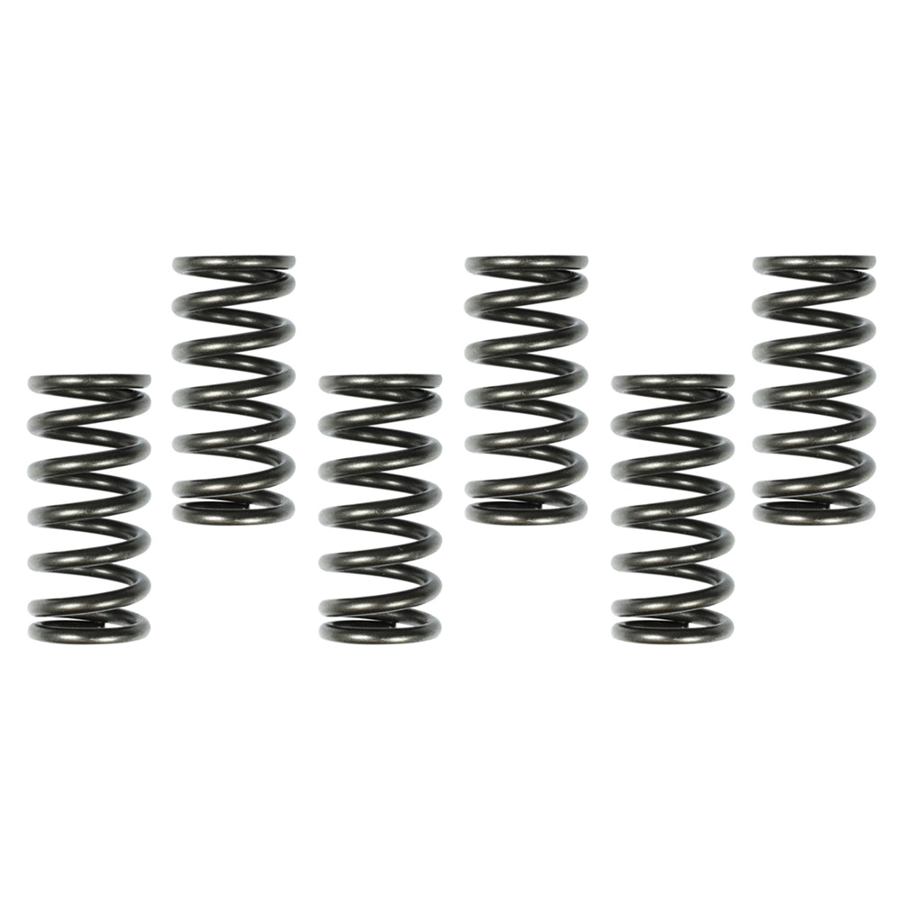 SURFLEX CLUTCH SPRING SET SUZUKI RM125 99-07