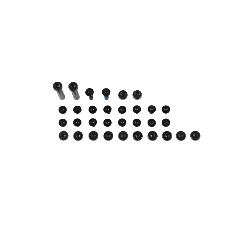 LEATT BOOT SCREW KIT GPX 5.5 FLEXLOCK