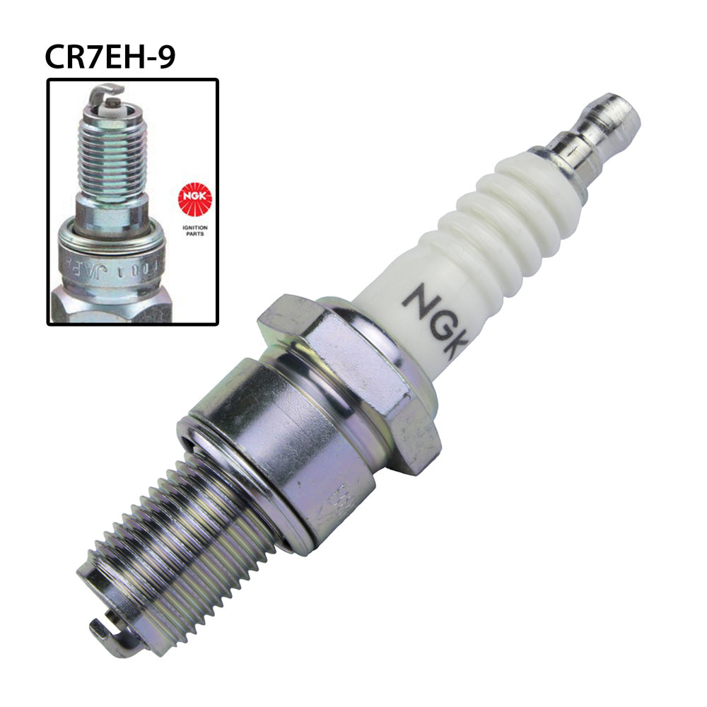 NGK CR7EH-9 Spark Plug (3486)