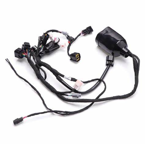 SUR-RON Wiring Harness Main L1e Road Legal Surron Light Bee X S Segway X160 X260