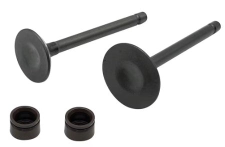 Dirt Racing Valve & Seal Exhuast Intake Kit 2000-2018 Yamaha Ttr 125 L E Le 5vl-e2111-00-00 1jp-e2111-00-00