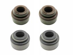 Psychic Valve Stem Seal Polaris 3084858, 3084859