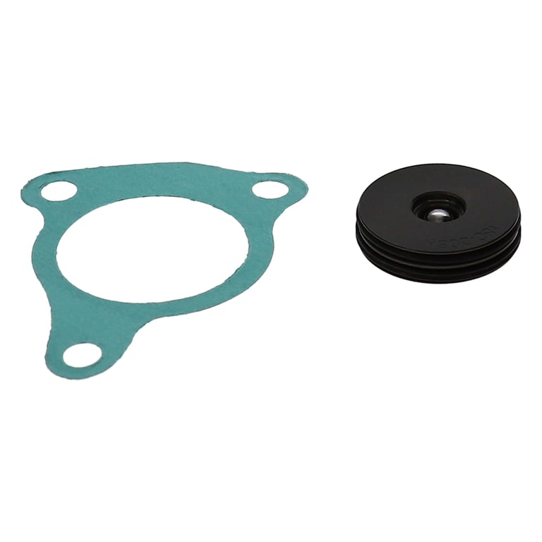 Rekluse Clutch Slave Cylinder Rebuild Kit 06-25 Beta Gas Husq Husa KTM Rekluse RMS-2313084