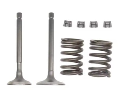 Dirt Racing Intake Exhaust Valves + Springs + Collers Kit Yamaha 2000-2024 TTR125 & 2004-2013 Grizzly 125 YFM125