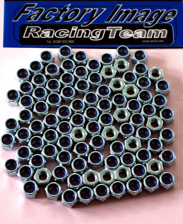 Tag-z Nylock M10 Nut Pack/100, Regular 11x17mm