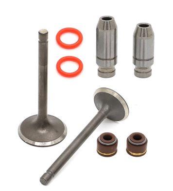 Dirt Racing Valve Intake & Exhaust Seals and Guides Yamaha Ttr 125 E 2000 - 2016