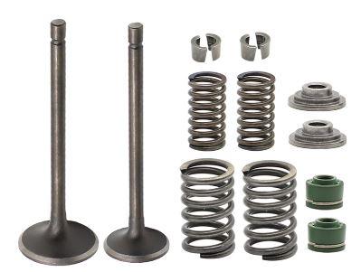 Dirt Racing Valve Spring & Seal Repair Kit Honda XR200R 81-91 XL185S 79-83 ATC200 14711-437-000