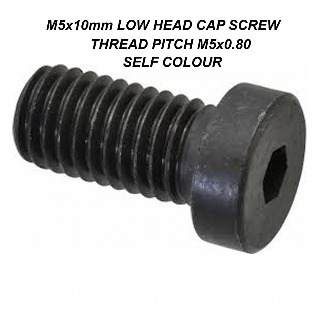 Tag-z M5x10 Allen Cap Bolt Self / C, Low Cap Screw Black