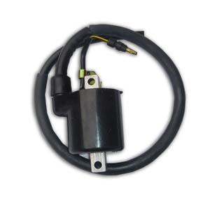 DZE Electrics Coil Ignition XR250,CG125,cbx, 10064-04 30500-kan-t41 30500-kga-b00, Dze10064 Road Dirt