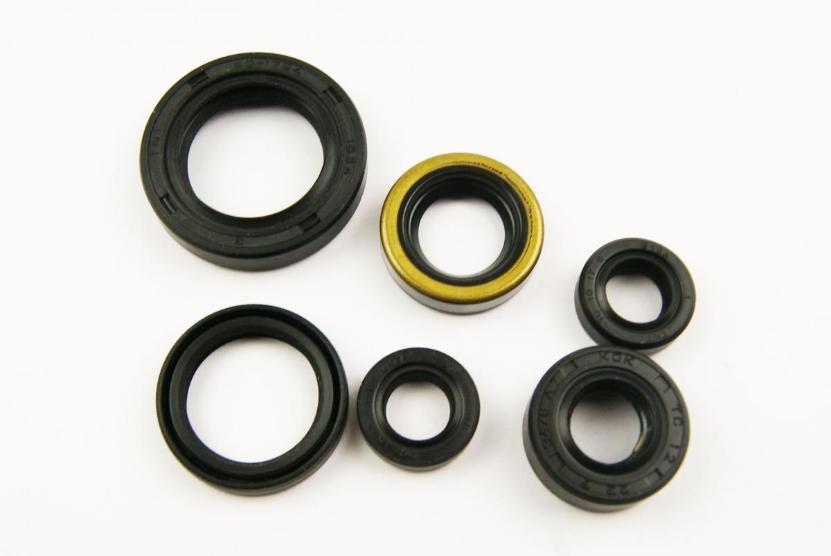 Winderosa Oil Seal Set DR350 90-99, Winderosa 822194