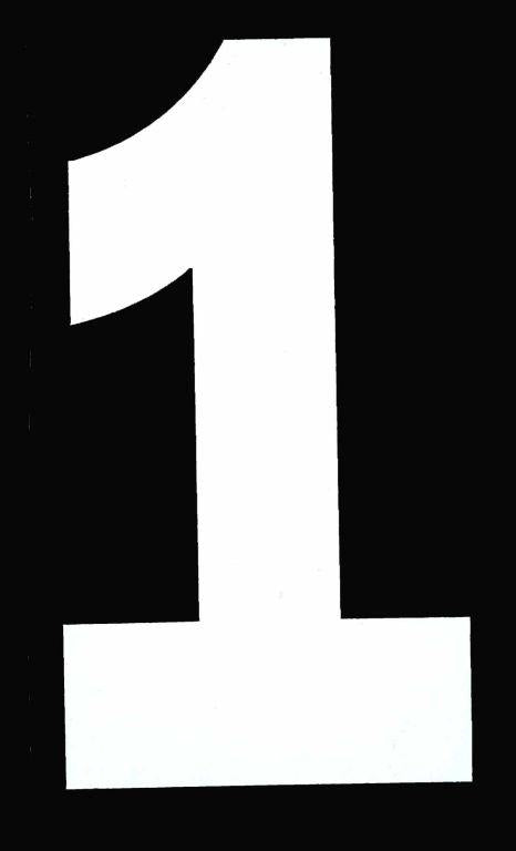 Blackbird Graphics 1 White Isde No1 5.25in