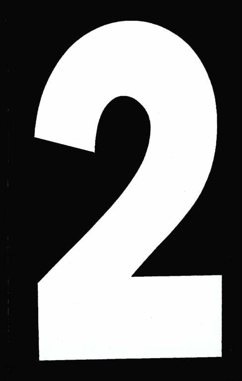 Blackbird Graphics 2 White Isde No2 5.25in