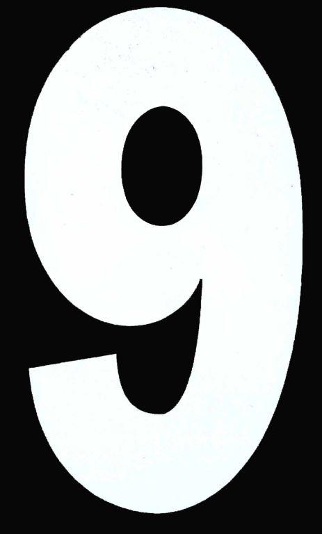 Blackbird Graphics 9 White Isde No9 5.25in