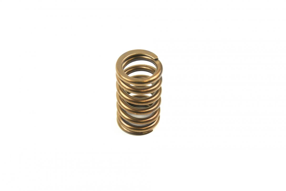 Advanced Sleeve Spring Ex KX450F 06-09