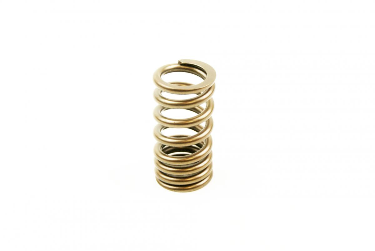 Advanced Sleeve Spring in RMZ250 07-09