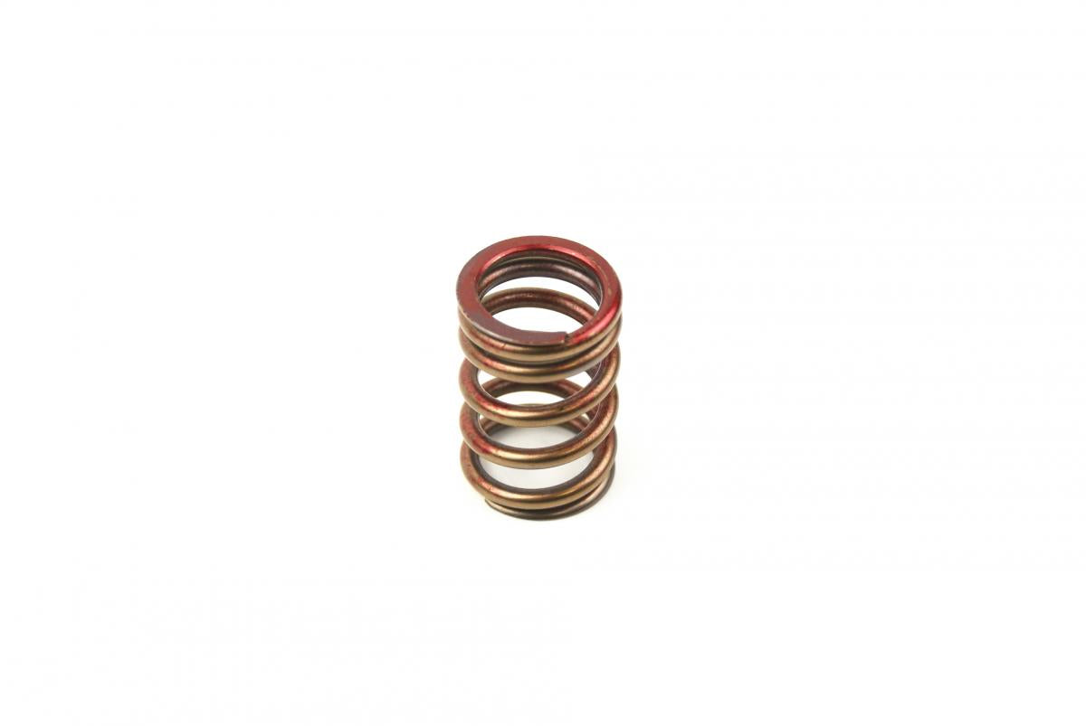 Advanced Sleeve Spring Ex RMZ450 05-09