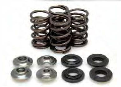 Kibblewhite Valve Spring Kit KTM250 05-07, Kibblewhite 96-96090 Racing
